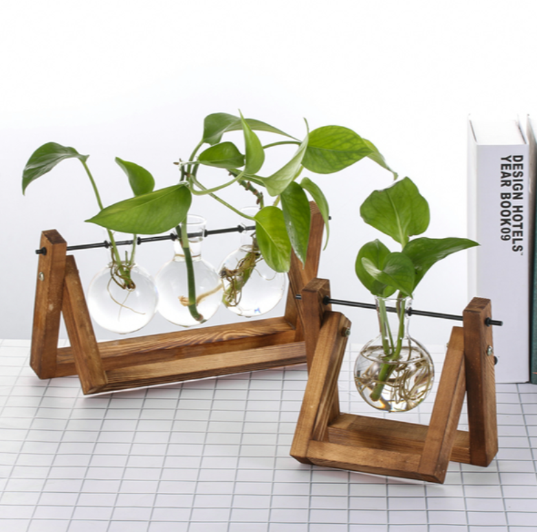 Vintage Hydroponic Plant Vase