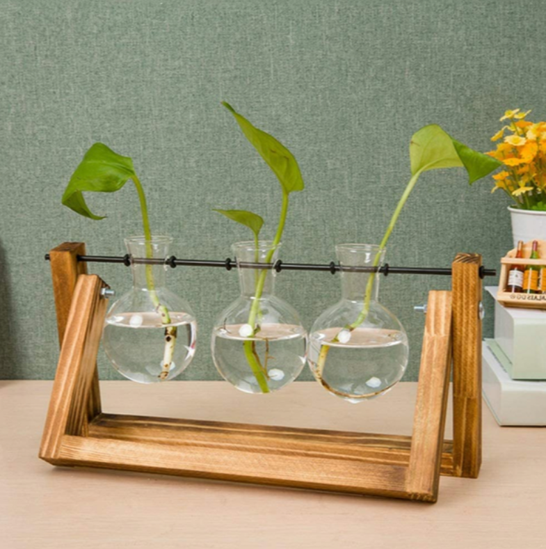 Vintage Hydroponic Plant Vase