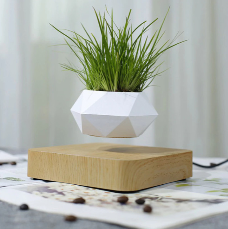 Magnetic Levitating Plant Pot For Bonsai, Real & Fake Plants