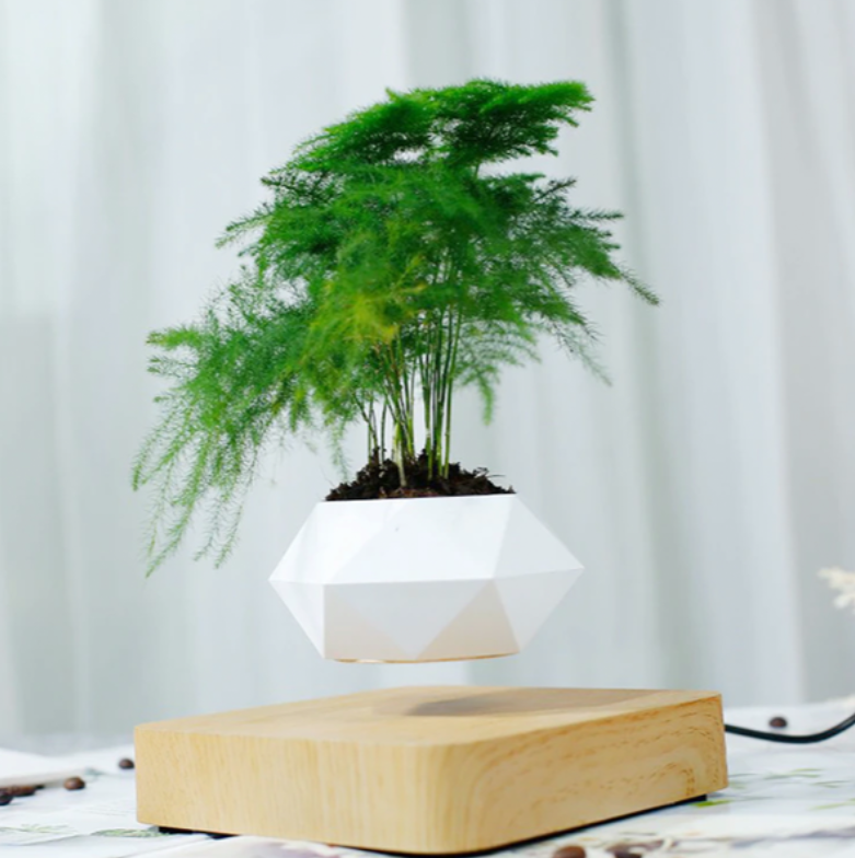 Magnetic Levitating Plant Pot For Bonsai, Real & Fake Plants