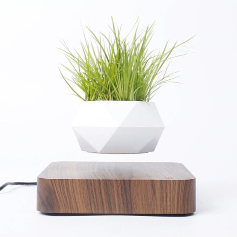 Magnetic Levitating Plant Pot For Bonsai, Real & Fake Plants
