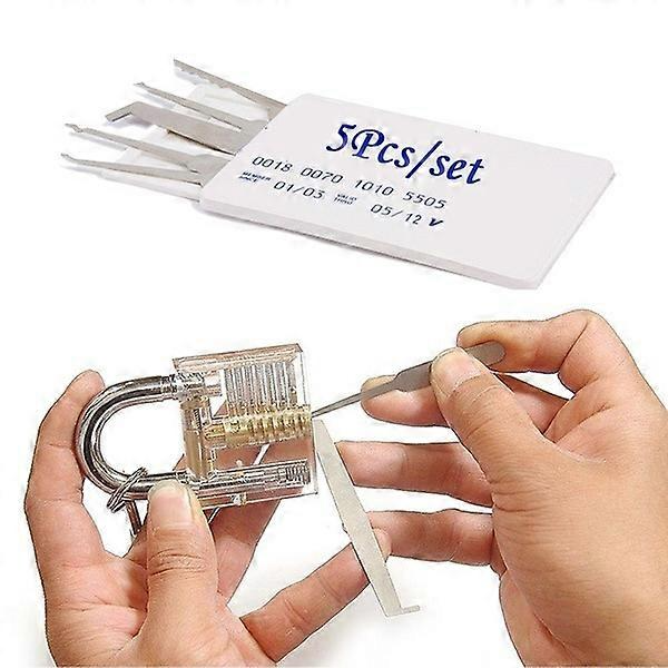 Auto Lock Pick & Broken Key Extractor Professional Grade