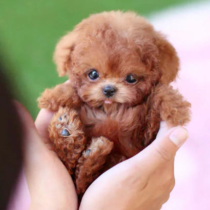 Realistic Robotic Puppy