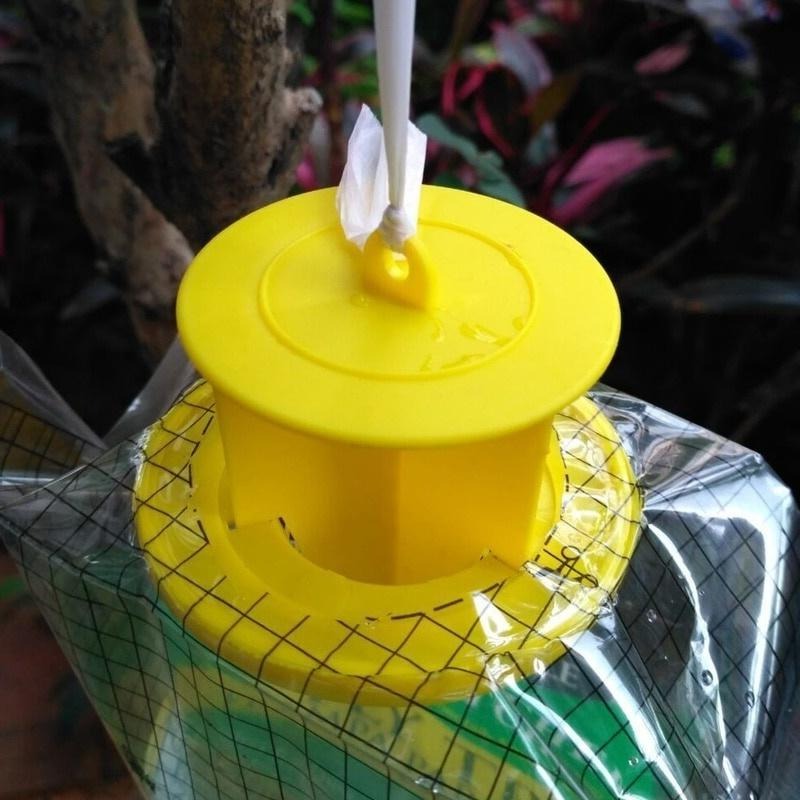 Outdoor Disposable Fly and Insect Trap Environmentally Safe