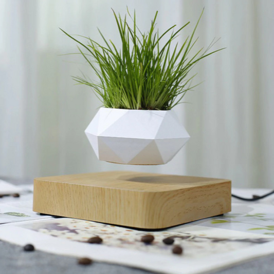 Magnetic Levitating Plant Pot For Bonsai, Real & Fake Plants