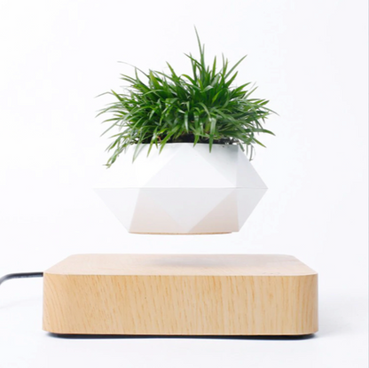Magnetic Levitating Plant Pot For Bonsai, Real & Fake Plants