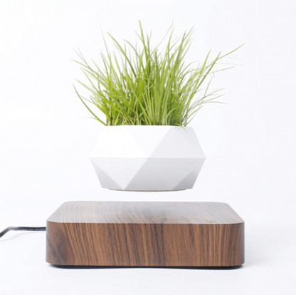 Magnetic Levitating Plant Pot For Bonsai, Real & Fake Plants